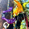 DESCENDEUR AKIMBO2 RG81 ROCK EXOTICA