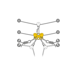 POULIE DE DEPLACEMENT REEVE PETZL